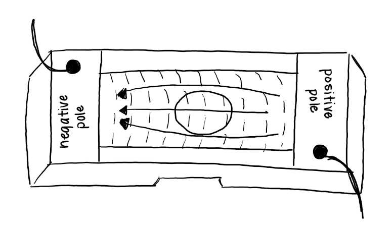 Sketch of direction in which electric field will act upon worms